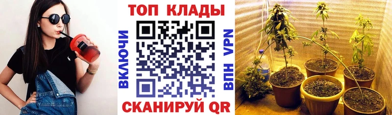 Где купить наркоту Дно МЕТАДОН  Мефедрон  Гашиш  Конопля 
