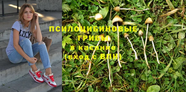 стафф Заволжск