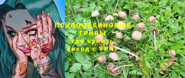 первитин Зерноград