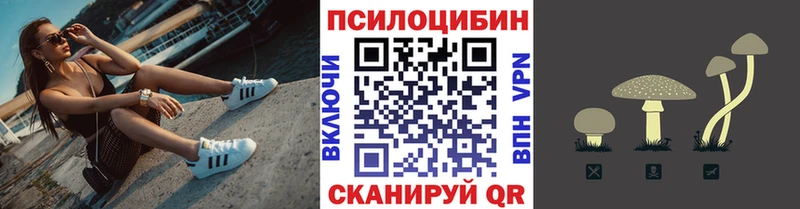 Галлюциногенные грибы Magic Shrooms  цены наркотик  Дно 